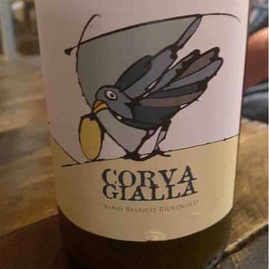 Vino Bianco - Azienda Agricola Corvagialla - beatrice-arweiler