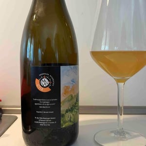Vino Bianco Frizzante - Azienda Agricola MoVe - gabriele-perenzin -2021