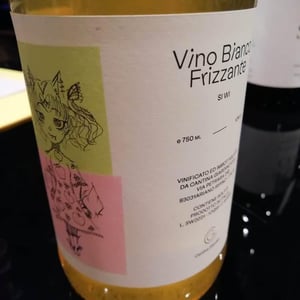 Si Wi - Cantina Giardino - antonio-di-gruttola-daniela-de-gruttola -2021