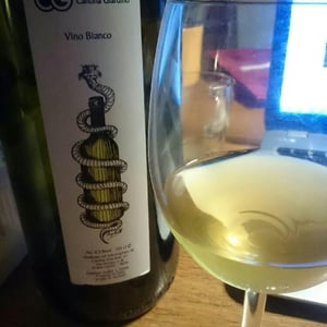 Vino Bianco 3 litri - Cantina Giardino - antonio-di-gruttola-daniela-de-gruttola -2015