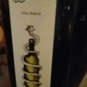 Vino Bianco 3 litri - Cantina Giardino - antonio-di-gruttola-daniela-de-gruttola -2015