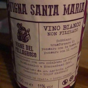 Vino Bianco - Vigne Del Pellagroso - Antonio Camazzola 