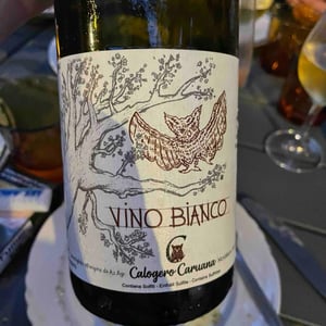 Vino Bianco - Azienda Agricola Calogero Caruana - calogero-caruana -2018