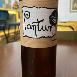 Pantun Bianco - Cantina Pantun - domenico-caragnano -2022