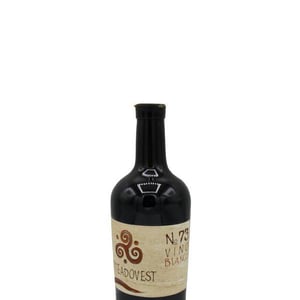 N°73 - Viteadovest - Vincenzo Angileri 