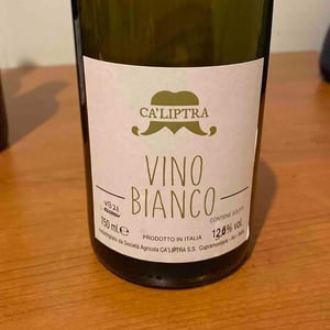 Vino Bianco - Ancona - antonella-traspadini-roberto-alfieri-giovanni-loberto-agostino-pisani -2021