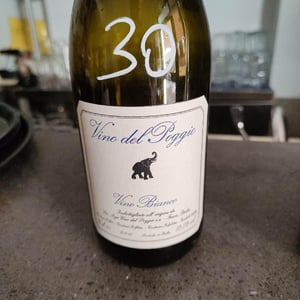 Vino Bianco - Vino del Poggio - andrea-cervini -2020