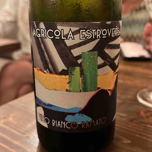 Vino Bianco Ramato - Agricola Estroversa - Antonio Santini -2022