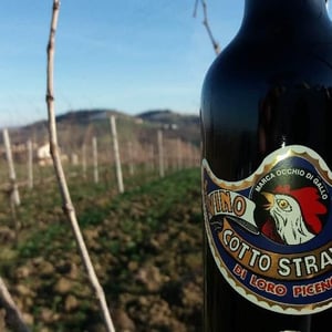 Vino Cotto Stravecchio "Occhio di Gallo" 2006