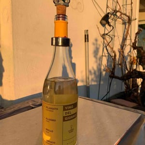 Vino Del Giorno - Azienda Agricola Salvatore Marino - Salvatore Marino -2020