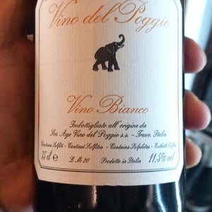 Vino Bianco