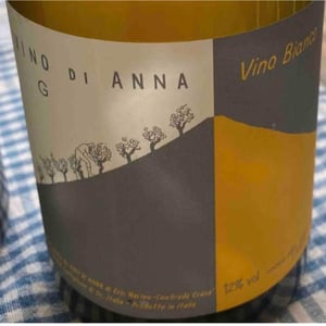 Vino di Anna Bianco G - Vino di Anna - Anna Martens & Eric Narioo 