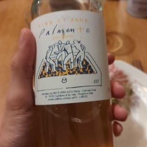 Vino di Anna Bianco - Vino di Anna - anna-martens-eric-narioo