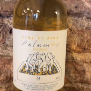 Vino di Anna Bianco - Vino di Anna - Anna Martens & Eric Narioo 