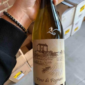 Vino Di Fognano