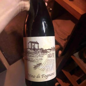 Vino Di Fognano - Fognano - paolo-foppiani
