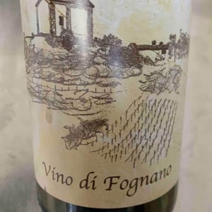 Vino Di Fognano - Fognano - paolo-foppiani