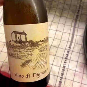 Vino Di Fognano - Fognano - paolo-foppiani