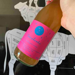 Vino Frizzante Ramato - Insolente Vini - Luca Elettri 
