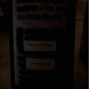 Monte dall'Ora - Alessandra Zantedeschi & Carlo Venturini - Vino Nato Disobbediente Resistente Contadino