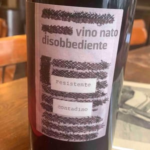 Vino Nato Disobbediente Resistente Contadino - Monte dall'Ora - Alessandra Zantedeschi & Carlo Venturini 
