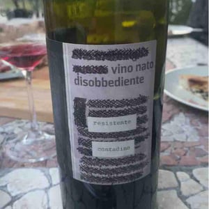Vino Nato Disobbediente Resistente Contadino - Monte dall'Ora - Alessandra Zantedeschi & Carlo Venturini 