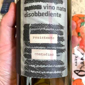 Monte dall'Ora - Alessandra Zantedeschi & Carlo Venturini - Vino Nato Disobbediente Resistente Contadino