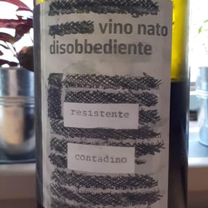 Monte dall'Ora - Alessandra Zantedeschi & Carlo Venturini - Vino Nato Disobbediente Resistente Contadino