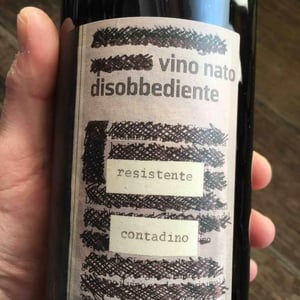 Vino Nato Disobbediente Resistente Contadino - Monte dall'Ora - alessandra-zantedeschi-carlo-venturini