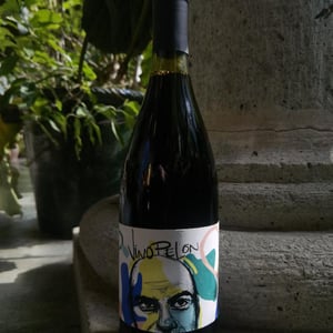 Vino Pelón - Vinos Pijoan - silvana-pijoan -2020