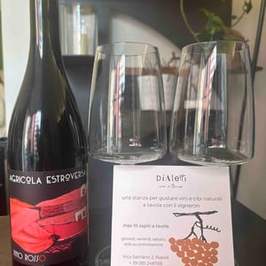 Vino Rosso - Agricola Estroversa - antonio-santini -2023