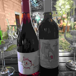 Vino Rosso - Azienda Agricola Rapillo - antonella-consilia-volpe