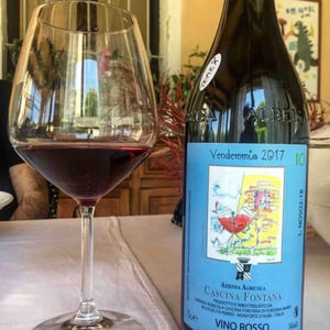 Vino Rosso - Cascina Fontana - Mario Fontana 