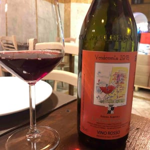 Vino Rosso - Cascina Fontana - mario-fontana
