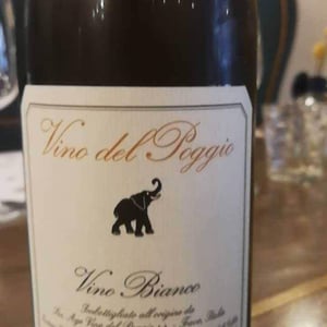 Vino del Poggio Rosso - Vino del Poggio - Andrea Cervini