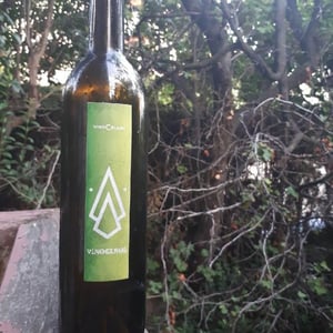 VinoCblanc 2017