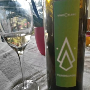 Vinoceros - Christophe Guittet - VinoCblanc