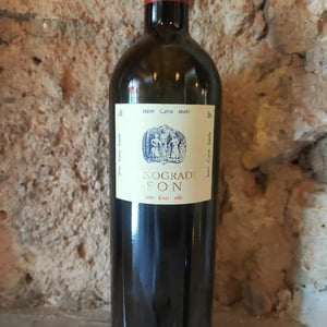 Vinogradi Fon - Vinigradi Fon - marco-fon -2021