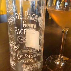 vins de pasesos - Vins de Pagesos & Pageses - Vins de Pagesos & Pageses -2021