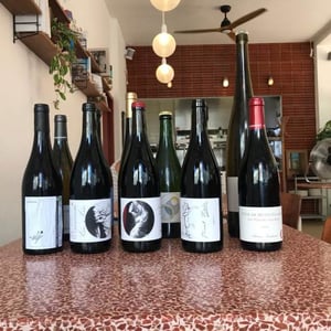 Pinot Noir Pur - Brand Bros - Weingut Brand - daniel-jonas-brand