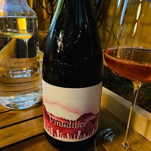 Vinudilice - I Vigneri - Salvo Foti 