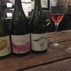 Vinudilice - I Vigneri - salvo-foti