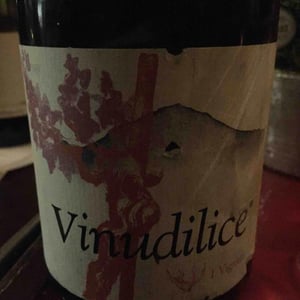 Vinudilice - I Vigneri - Salvo Foti 