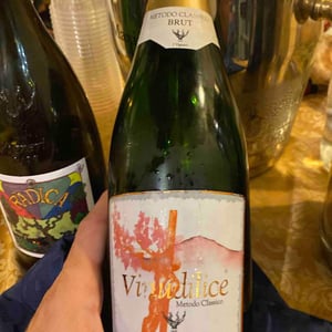 Vinudilice - I Vigneri - Salvo Foti 