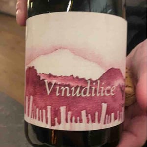 Vinudilice - I Vigneri - Salvo Foti 