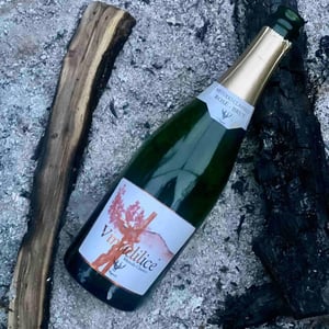 Vinudilice - I Vigneri - Salvo Foti 