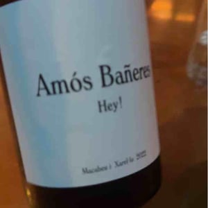 Vinya Oculta - Vinya Oculta - Amós Bañeres 
