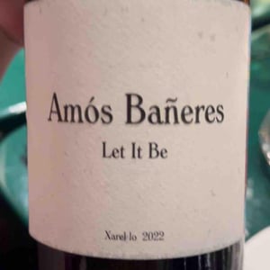 Vinya Oculta - Amós Bañeres - Vinya Oculta