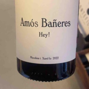 Vinya Oculta - Vinya Oculta - amos-baneres