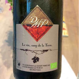 Viognier - Domaine Monier-Perréol - guillaume-jean-pierre-monier-philippe-perreol -2018